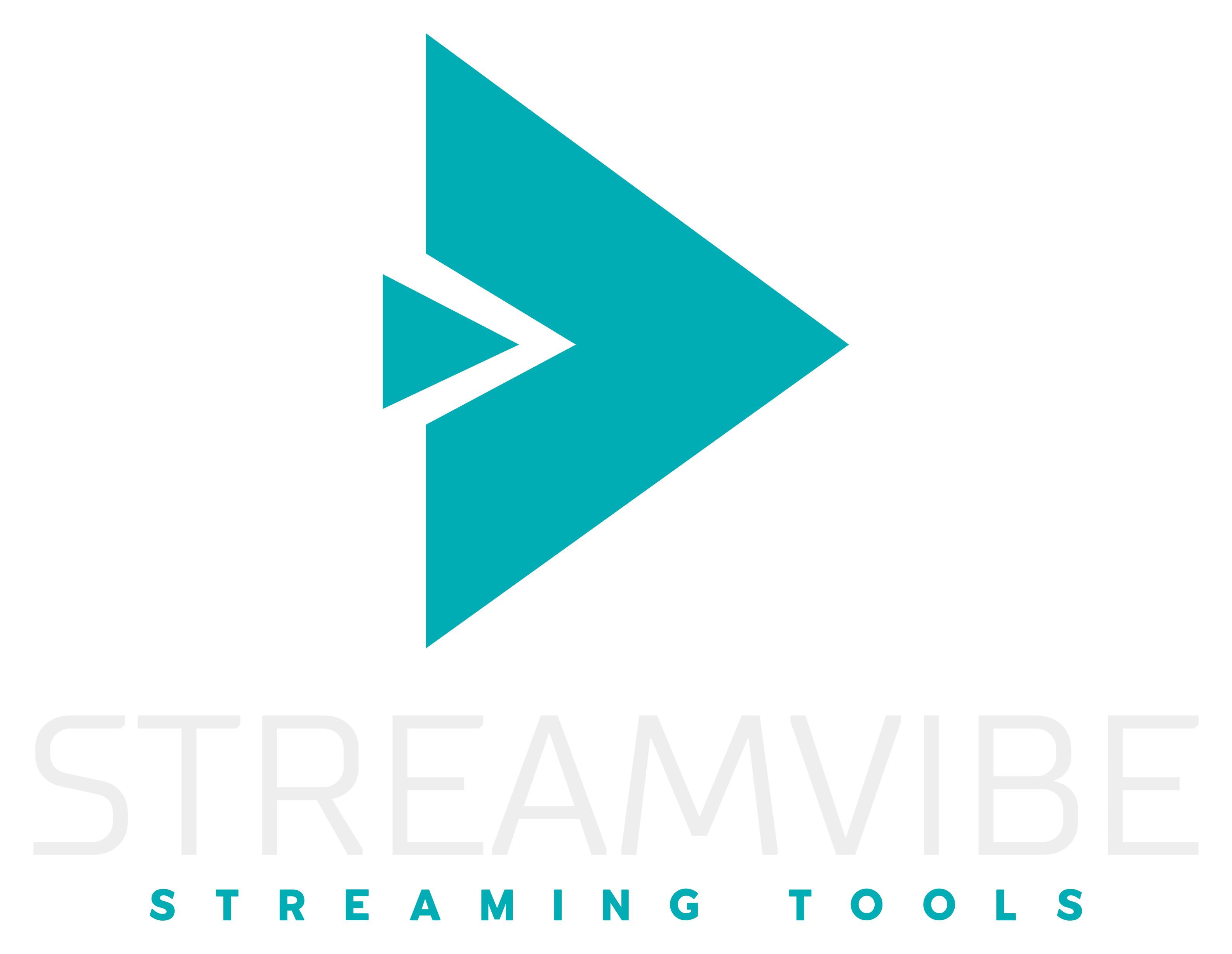 StreamVibe Logo